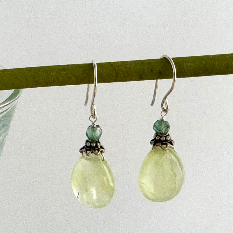 Prenite Earrings in Sterling Silver