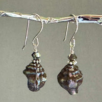 Czech Glass Silver Conch Shell Earrings in Sterling Silver