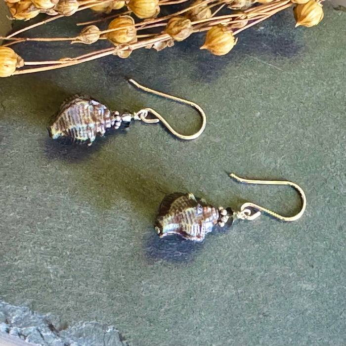Czech Glass Silver Conch Shell Earrings in Sterling Silver