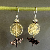 Czech Glass Gold Coin Earrings with Copper Dragonfly Motif in Sterling Silver