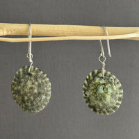 Natural Green Limpet Shell Earrings in Sterling Silver