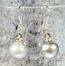 Load image into Gallery viewer, Large Grey Freshwater Pearl Earrings in Sterling Silver SPECIAL PRICE
