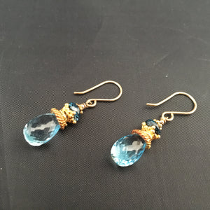 Blue Topaz Earrings in 14K Gold Fill