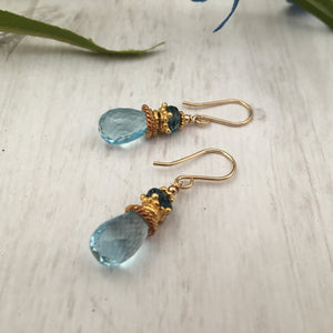 Blue Topaz Earrings in 14K Gold Fill