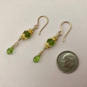 Peridot Drop Earrings in 14K Gold Fill